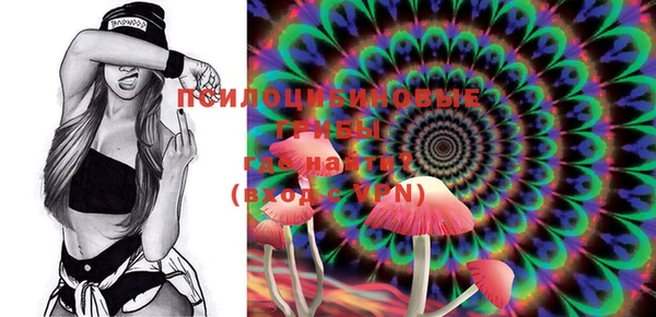 мяу мяу мука Медвежьегорск
